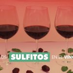 Los sulfitos en el vino qué es eso Todo lo que necesitas saber