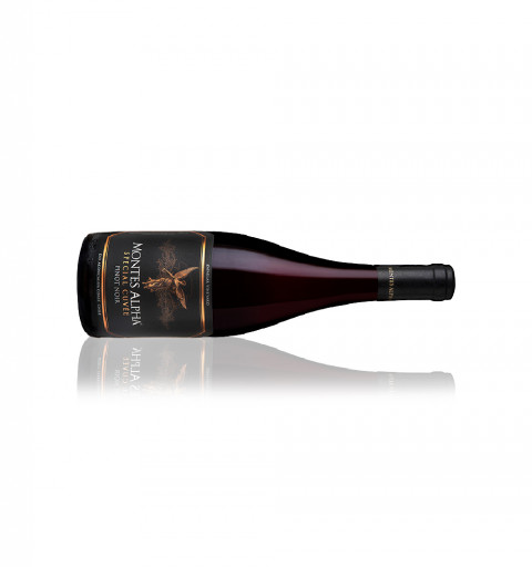 Vino Tinto - Montes Alpha Special Cuvée Pinot Noir