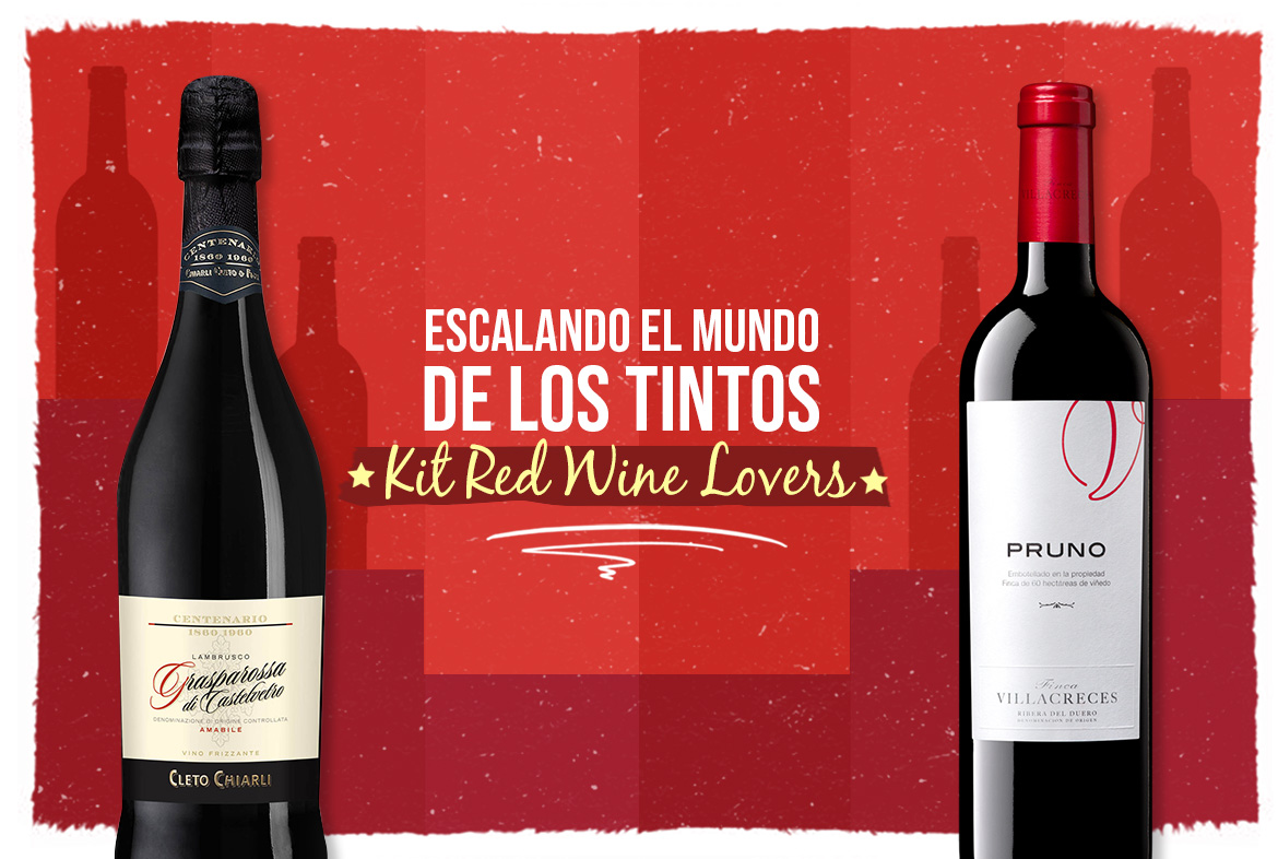 Vino tinto: Kit Red Wine Lovers