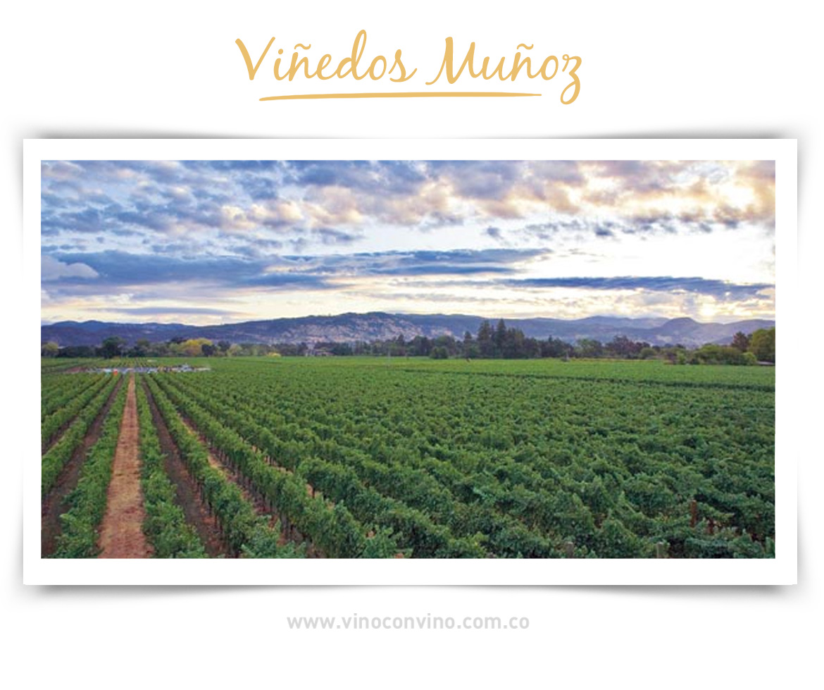 Muñoz, viñedos y bodegas