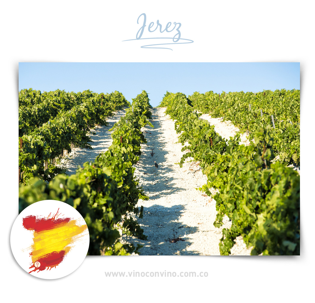 Jerez - Región de vino en España