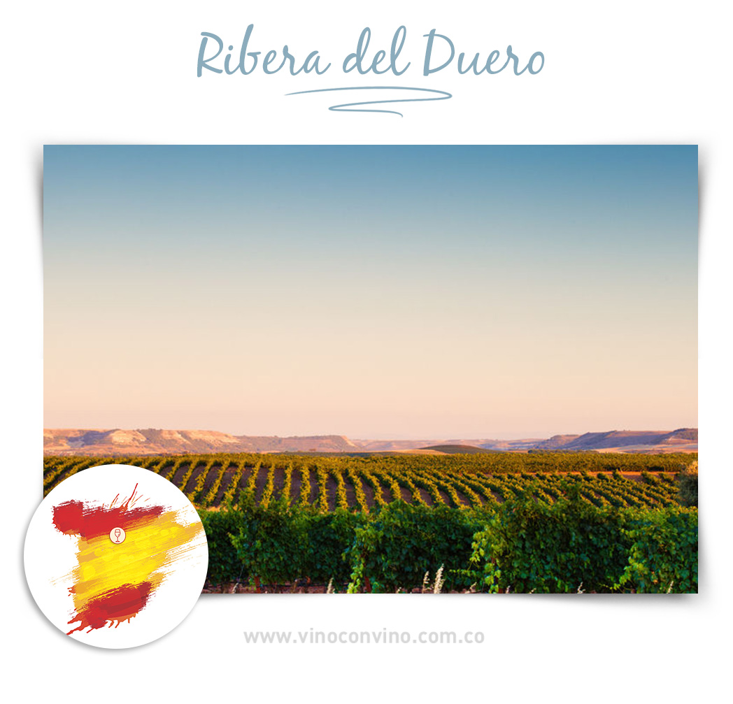 Ribera del Duero. Regiones de vino en España