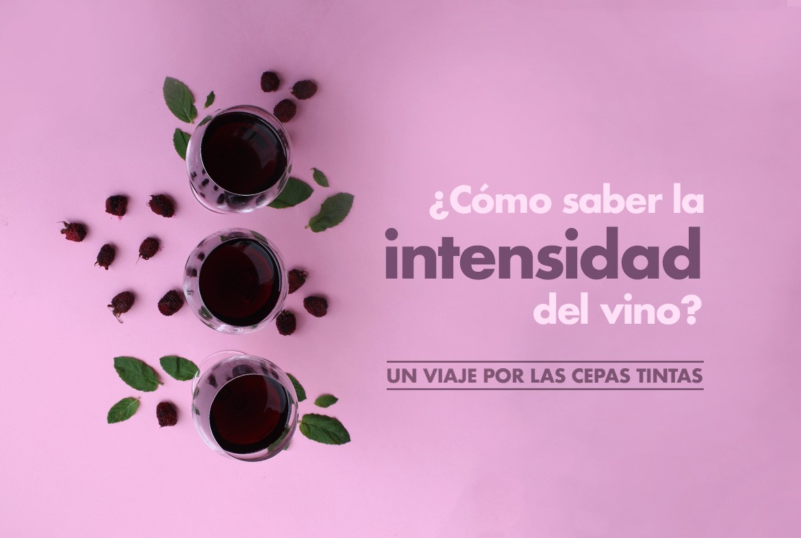 La intensidad del vino-Blog vino con vino