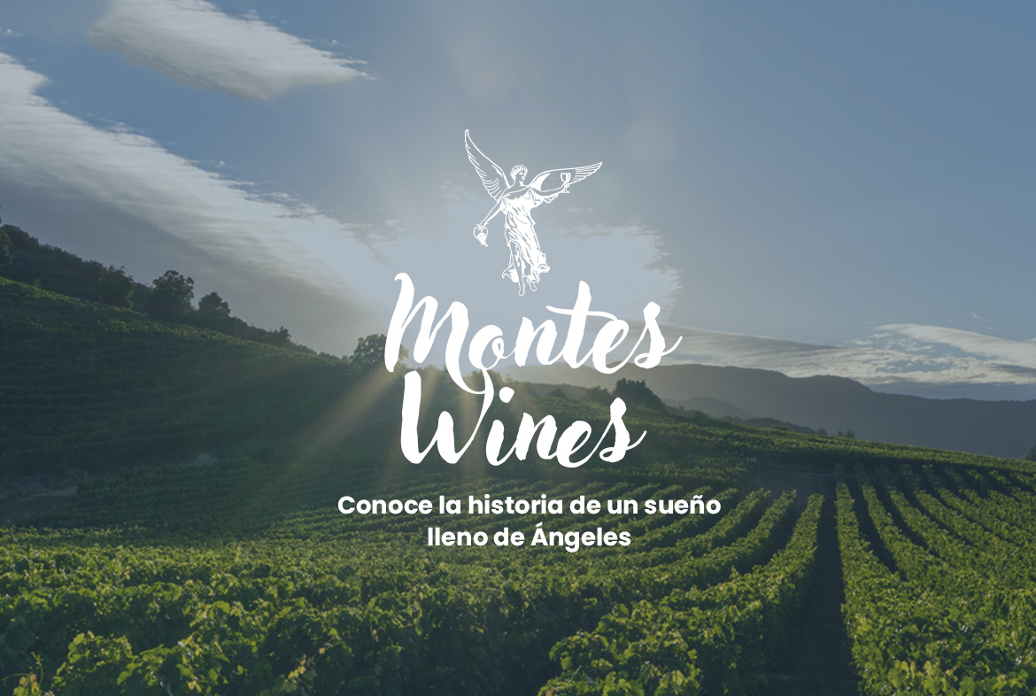 Montes Wines- La historia de una de las mejores bodegas Chilenas