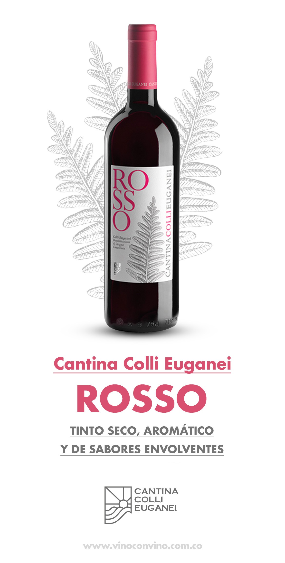 Cantina Colli Euganei Rosso -vino italiano 