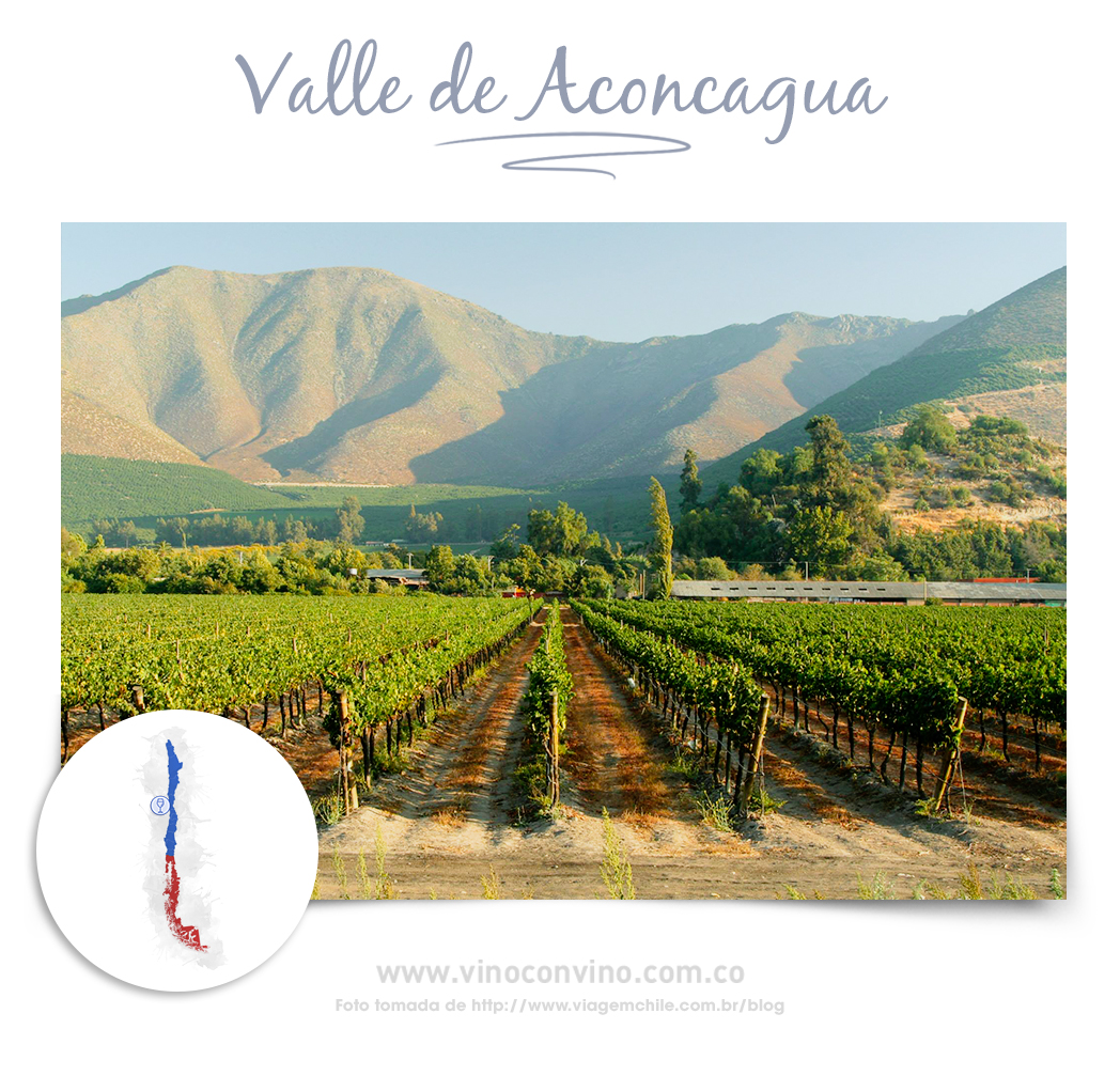 Chile: Valle Aconcagua- Vinos Chilenos