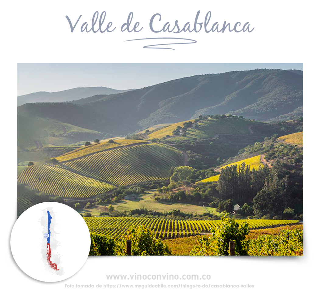 Valle Casablanca- Vinos Chilenos