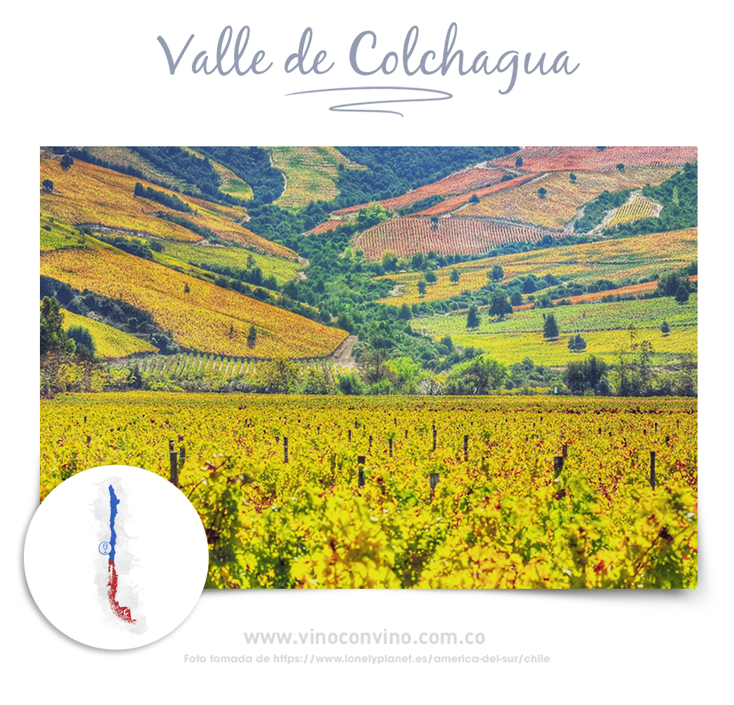 Chile: Valle de Colchagua-Vinos