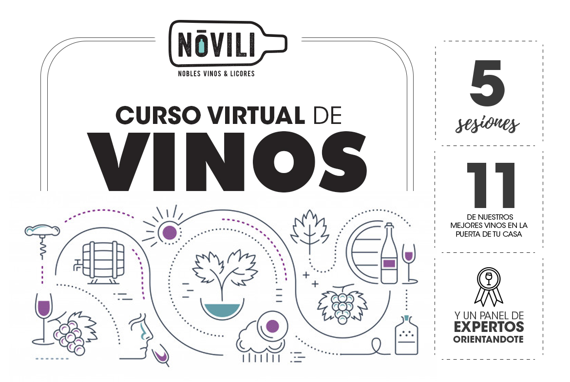curso virtual de vinos novili