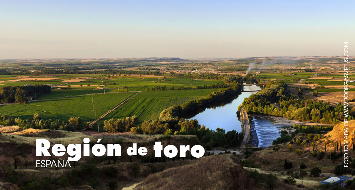 Región de Toro España
