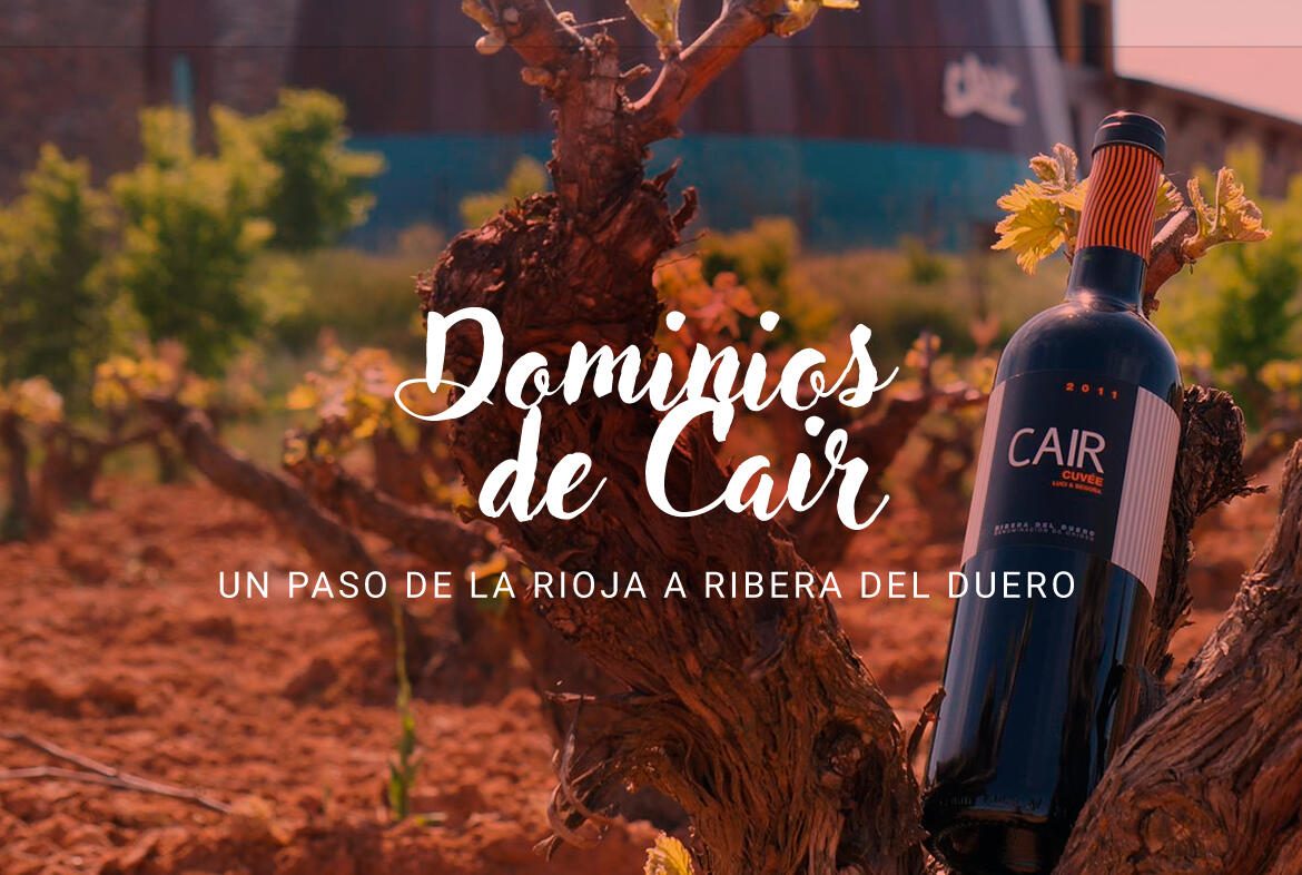 Dominios de Cair, un paso de la Rioja a Ribera del Duero