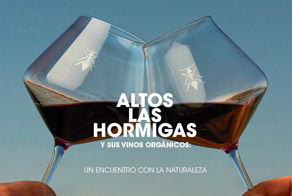 Altos Las Hormigas y sus vinos orgánicos: un encuentro con la naturaleza