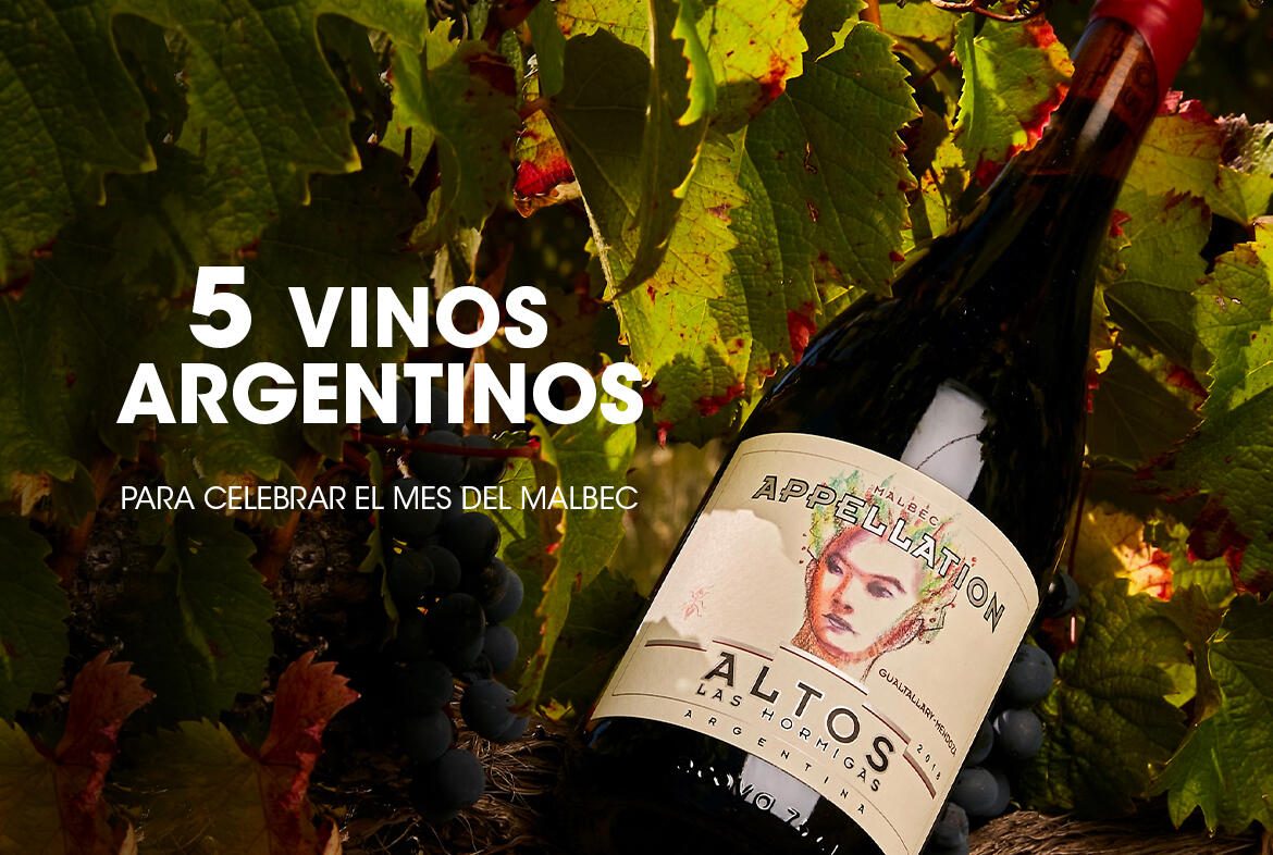 5 vinos argentinos para celebrar el mes del malbec