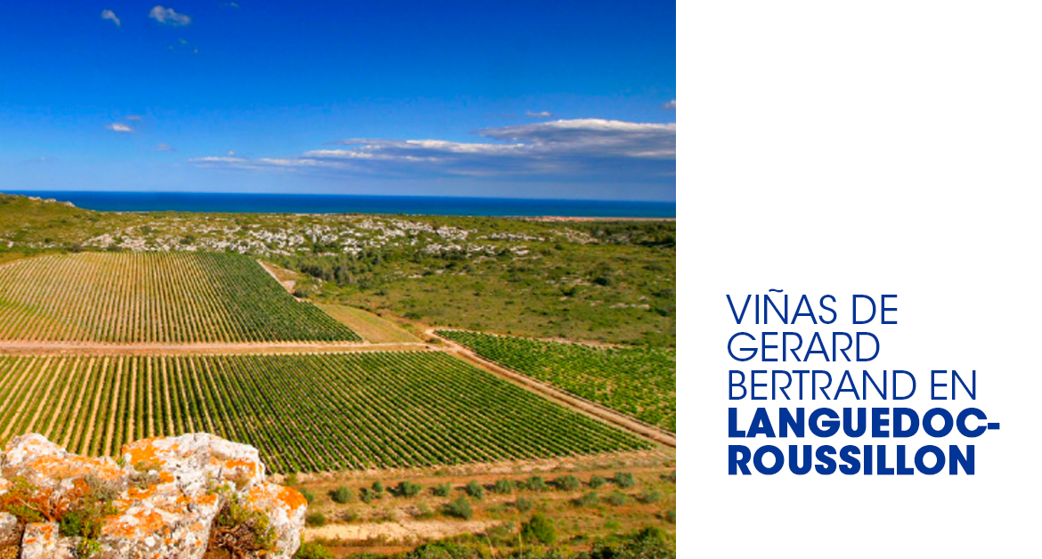 Viñas de Gerard Bertrand en Languedoc-Roussillon