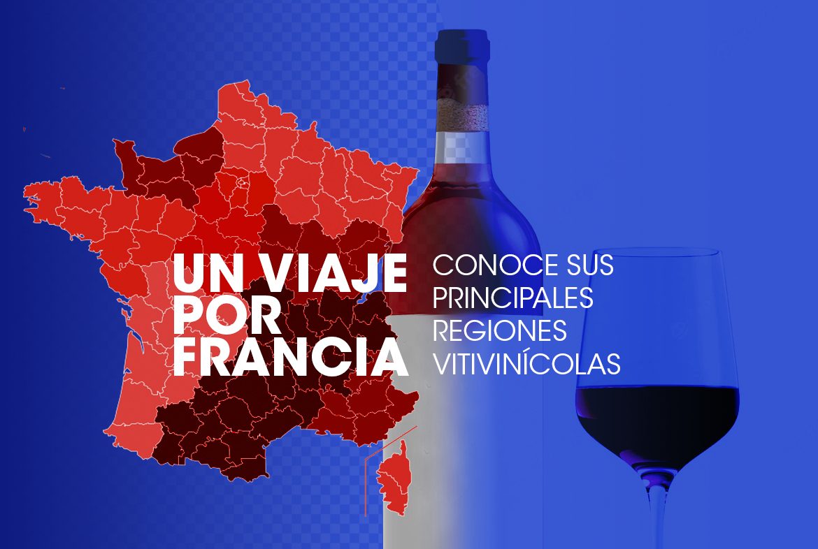 Un viaje por Francia: conoce sus principales regiones vitivinícolas