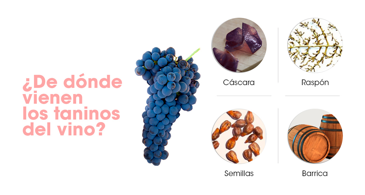 De dónde vienen los taninos del vino 