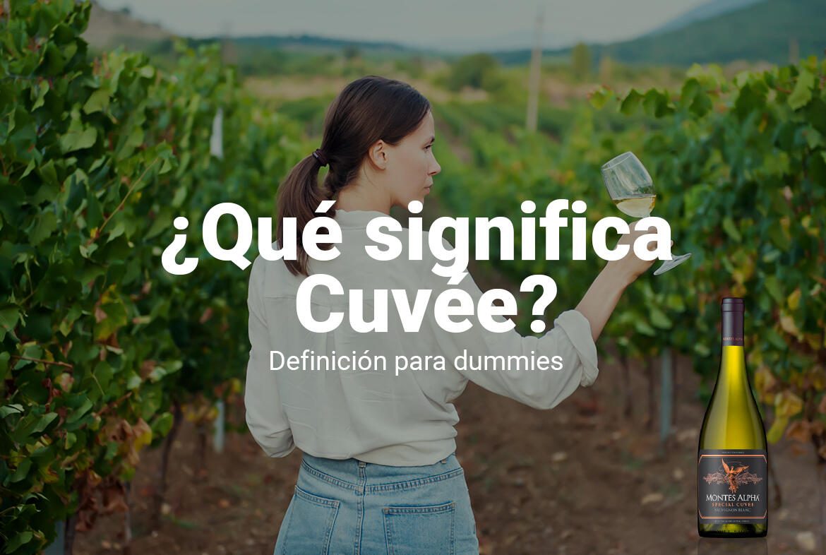 ¿Qué significa Cuvée? Definición para dummies”