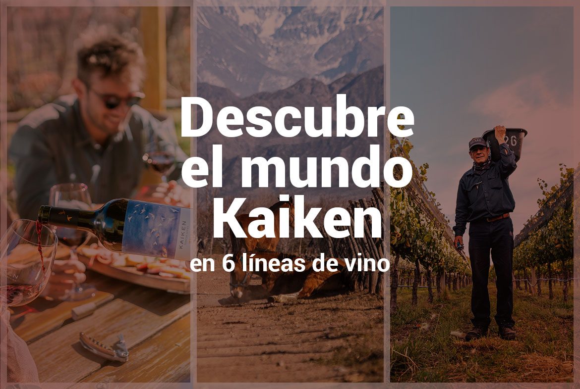 Descubre el mundo de Kaiken Wines en 6 líneas de vino
