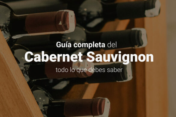 cabernet sauvignon vino