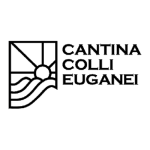 Mesa de trabajo 1 copia 2